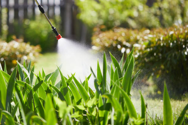 24/7 Emergency Mosquito Control experts in North Cape May, NJ