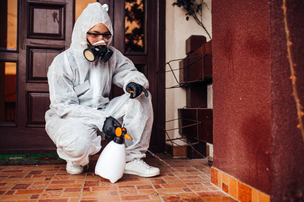 Reliable Mosquito Control contractor in North Cape May, NJ by Show Me Pest Control