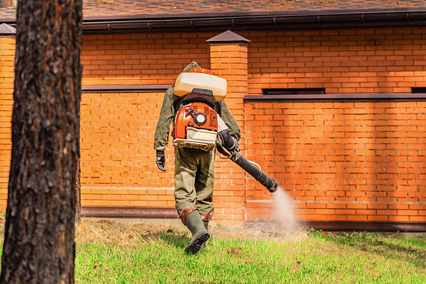 Top rated local Mosquito Control specialists in North Cape May, NJ